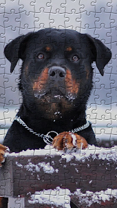 Rottweiler Puzzles