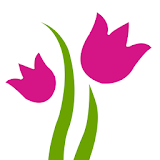 Tulips World School icon