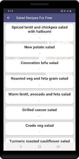 Salad Recipes - Offline Screen 2