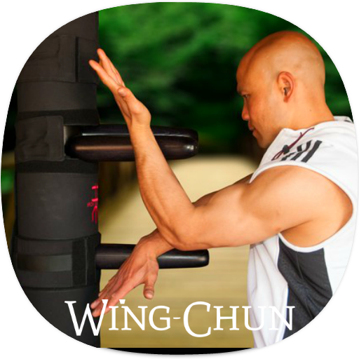 Wing Chun Guide 1.1 Icon