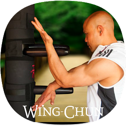 Icon image Wing Chun Guide