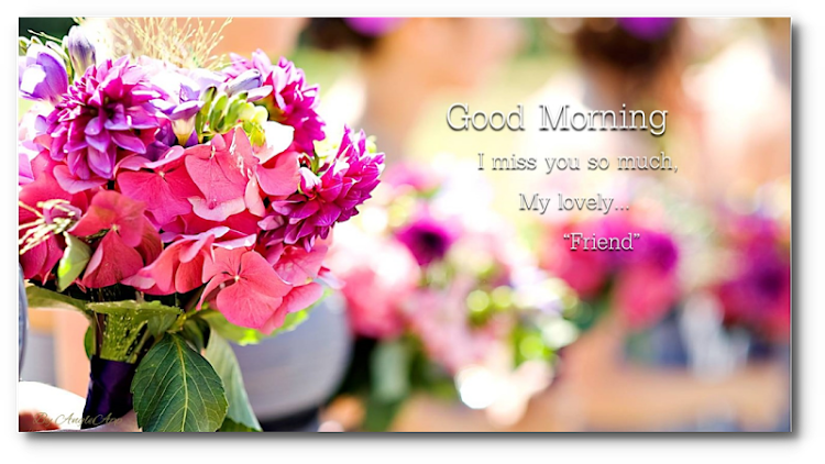 Good Morning Night flower wish - 9.05.0.0 - (Android)