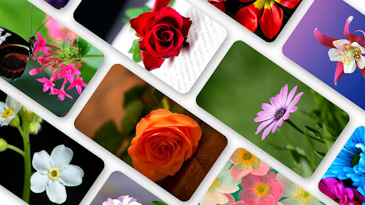 Android application Flower Wallpaper 2024 screenshort