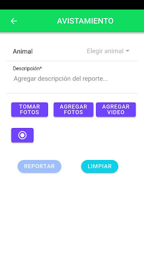 Tamanduá Ecoregistro Misiones