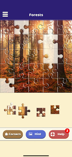 Forests Puzzle Screen 3