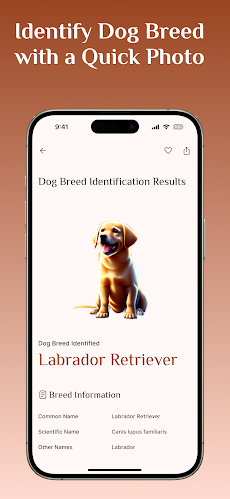 Dog Breed Identificationのおすすめ画像3