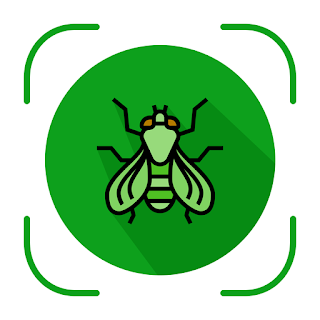 Bug and Insect Identifier apk