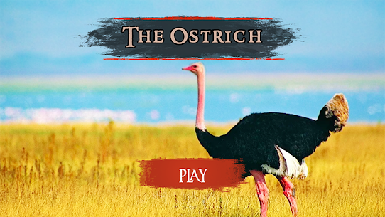 The Ostrich 1