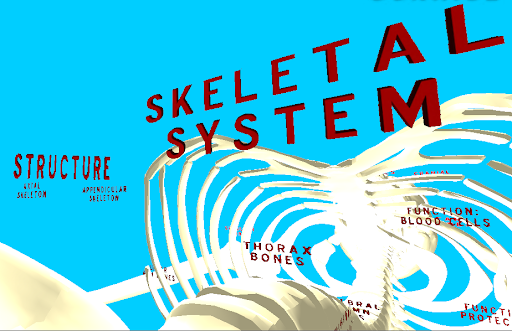 Android application The Human Skeleton VR screenshort