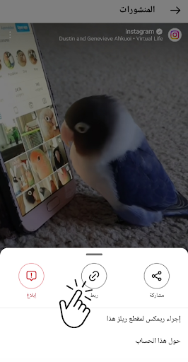 SnapTik تحميل حالات وفيديوز Screen 2