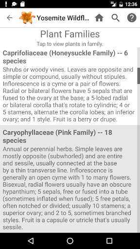 Screenshot of Yosemite Wildflowers
