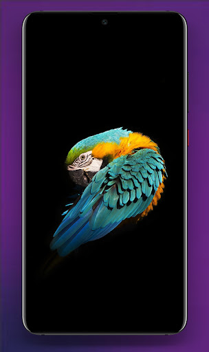 Download Lenovo Wallpapers Free for Android - Lenovo Wallpapers APK Download  