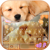 Dynamic Sleeping Puppy Keyboard Theme icon
