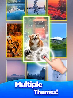 Card Master