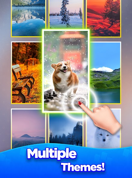 Card Master screenshot