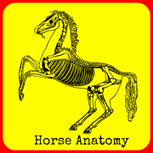 Horse Anatomy - 3D Horse logo
