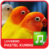 Lovebird Pastel Kuning icon