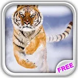 Gracious Tigers Live Wallpaper icon