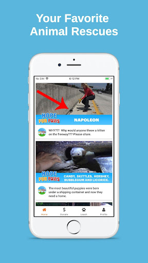 Android application Hope For Paws screenshort