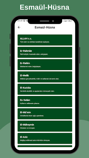 Screenshot 17