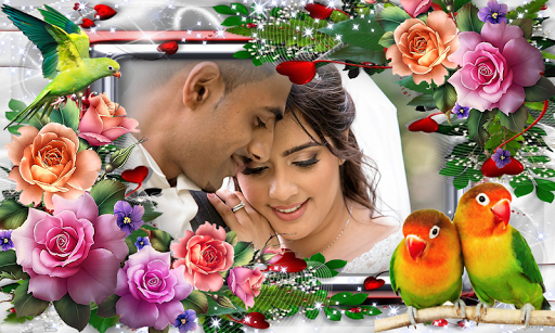 Android application Bird Photo Frame screenshort