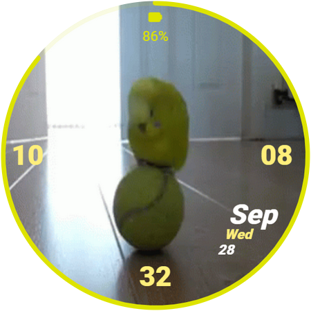 FURRY FRIENDS - BIRD Screen 2