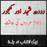 500 Mardon Ki Taqat 2018 icon