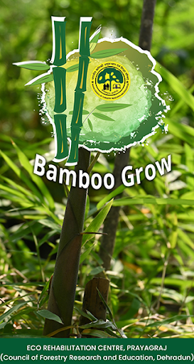 Android application Bamboo and its Uses screenshort
