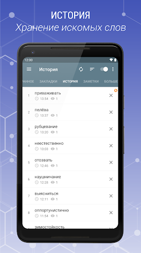 Russian Explanatory Dictionary screenshot 6