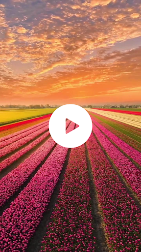 Nature Live Wallpaper HD Screen 2