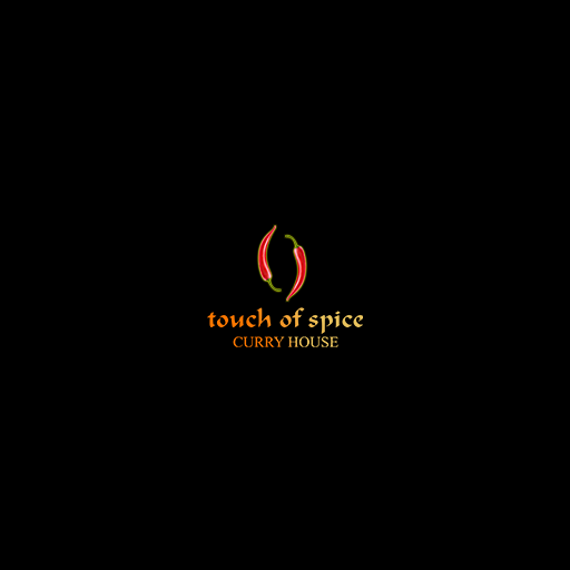 Touch Of Spice logo
