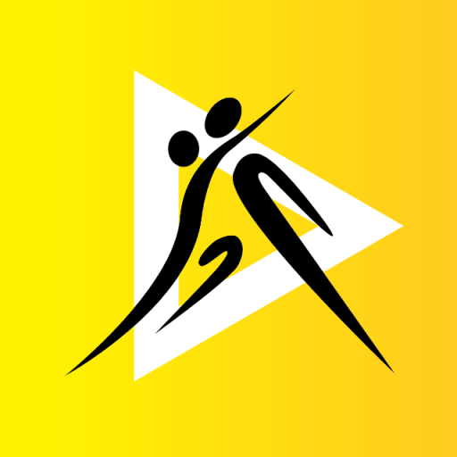 DanStream logo