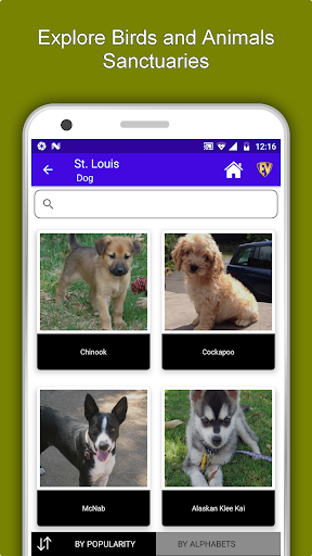 Screenshot of St. Louis Travel & Explore, Of