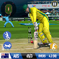 Cricket Game: Bat Ball Game 3D Apk