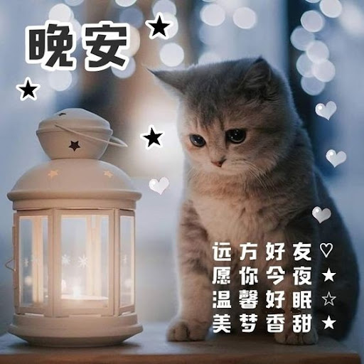 晚安