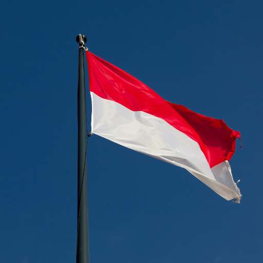 Monaco flag logo