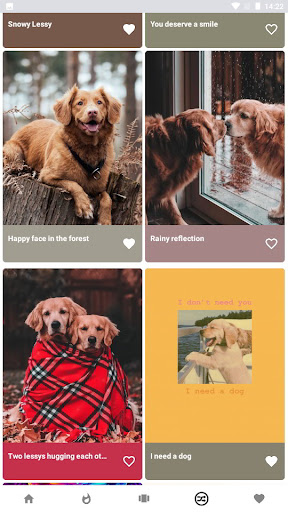 DogLuxe Wallpapers