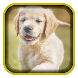 2D Puppies Live Wallpapers icon