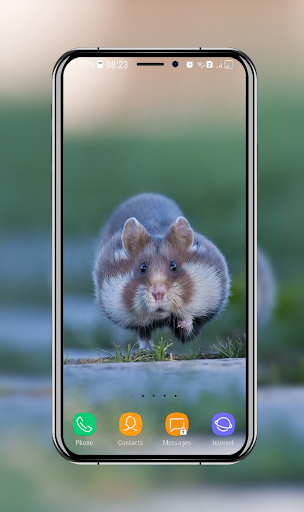Hamster Wallpaper Screen 2