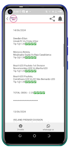 SingleBet VIP Tips. Screen 3
