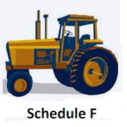 Schedule F - Farm Accounting