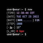 screenshot of Terminal Watch face