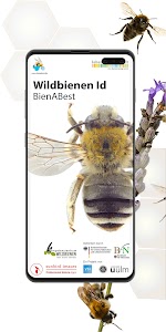 Wildbienen Id BienABest Unknown