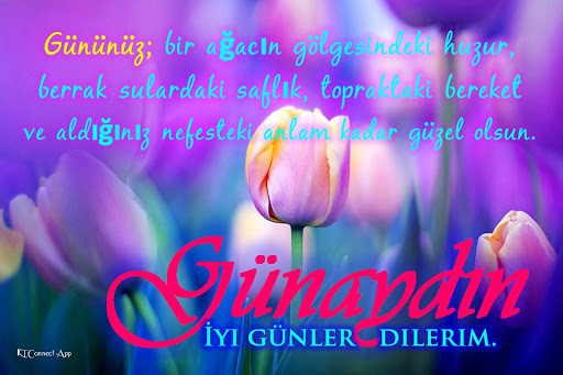 Good morning night in Turkish Screen 2