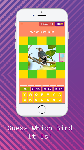 Guess Which Bird It Is! Screen 3