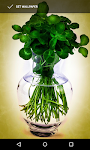 screenshot of St. Patrick's Day Wallpapers