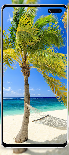 summer sea wallpaper Screenshot