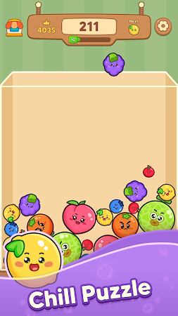 Game screenshot Fruit Merge: Drop Puzzle apk download