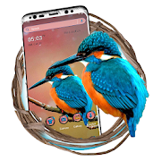 Kingfisher Bird Theme