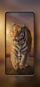 Tiger Wallpaper Unknown
